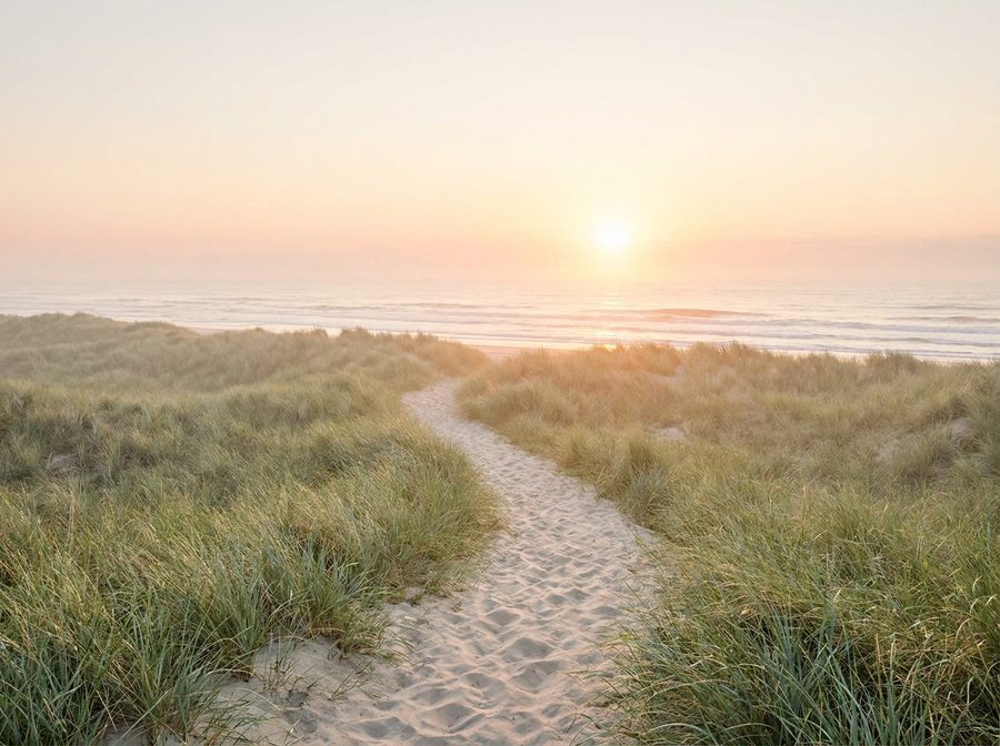 Sandweg durch Dünengras führt der Morgensonne entgegen